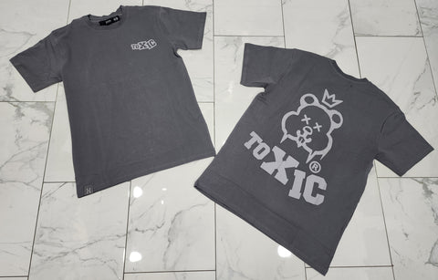 Hudson Grey Toxic T-Shirt