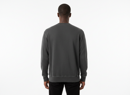 Pradagynyc Grey Sweatshirt