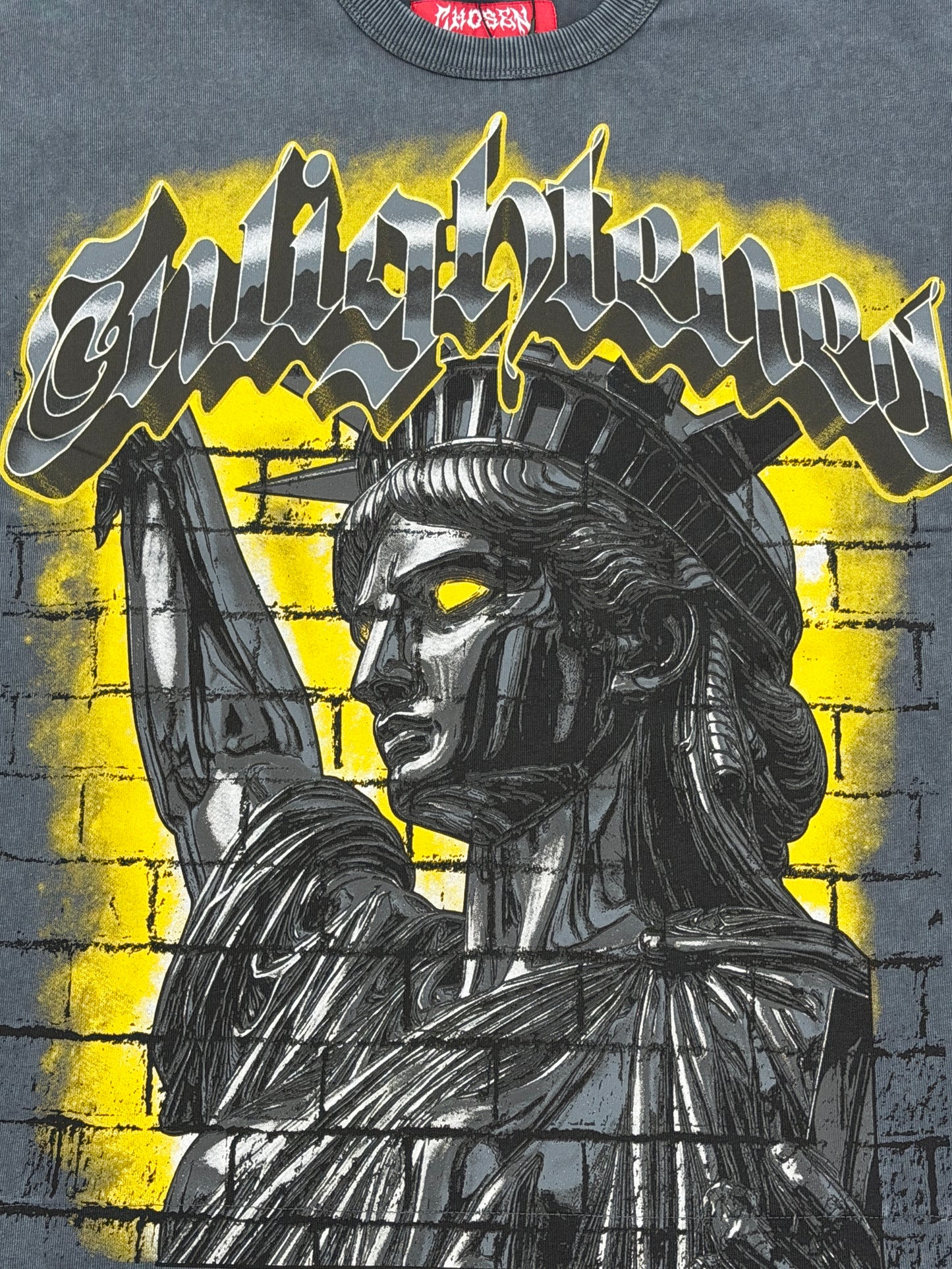 Chosen Liberty Shadow Vintage Wash Graphic Boxy T-Shirt