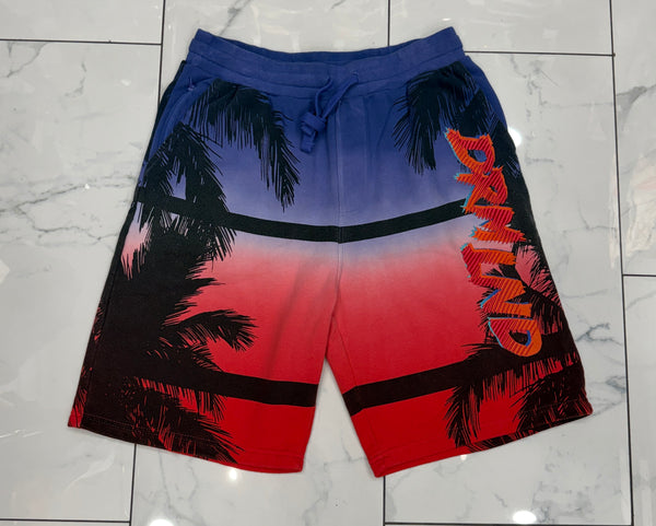 DreamLand South Beach Shorts U