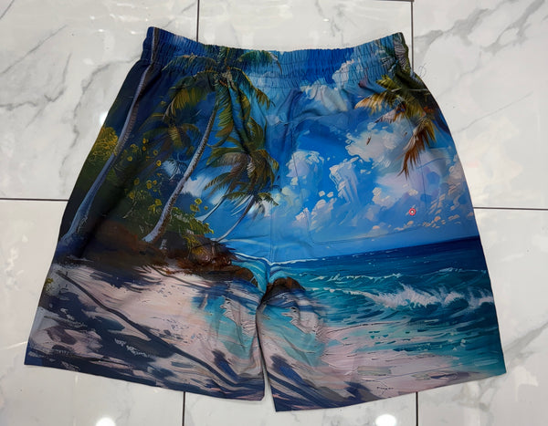 Jordan Craig Wanderlust Shorts (Clearwater) U
