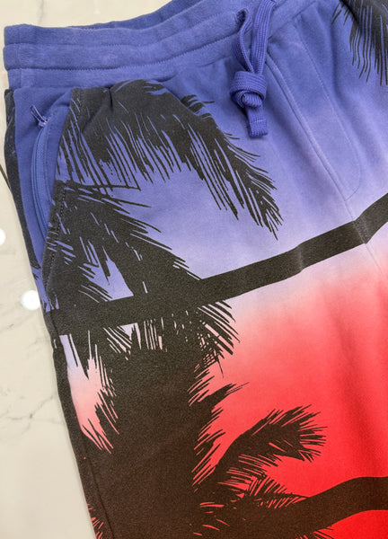 DreamLand South Beach Shorts U