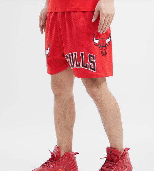 Pro Standard Chicago Bulls Red Mesh Shorts U