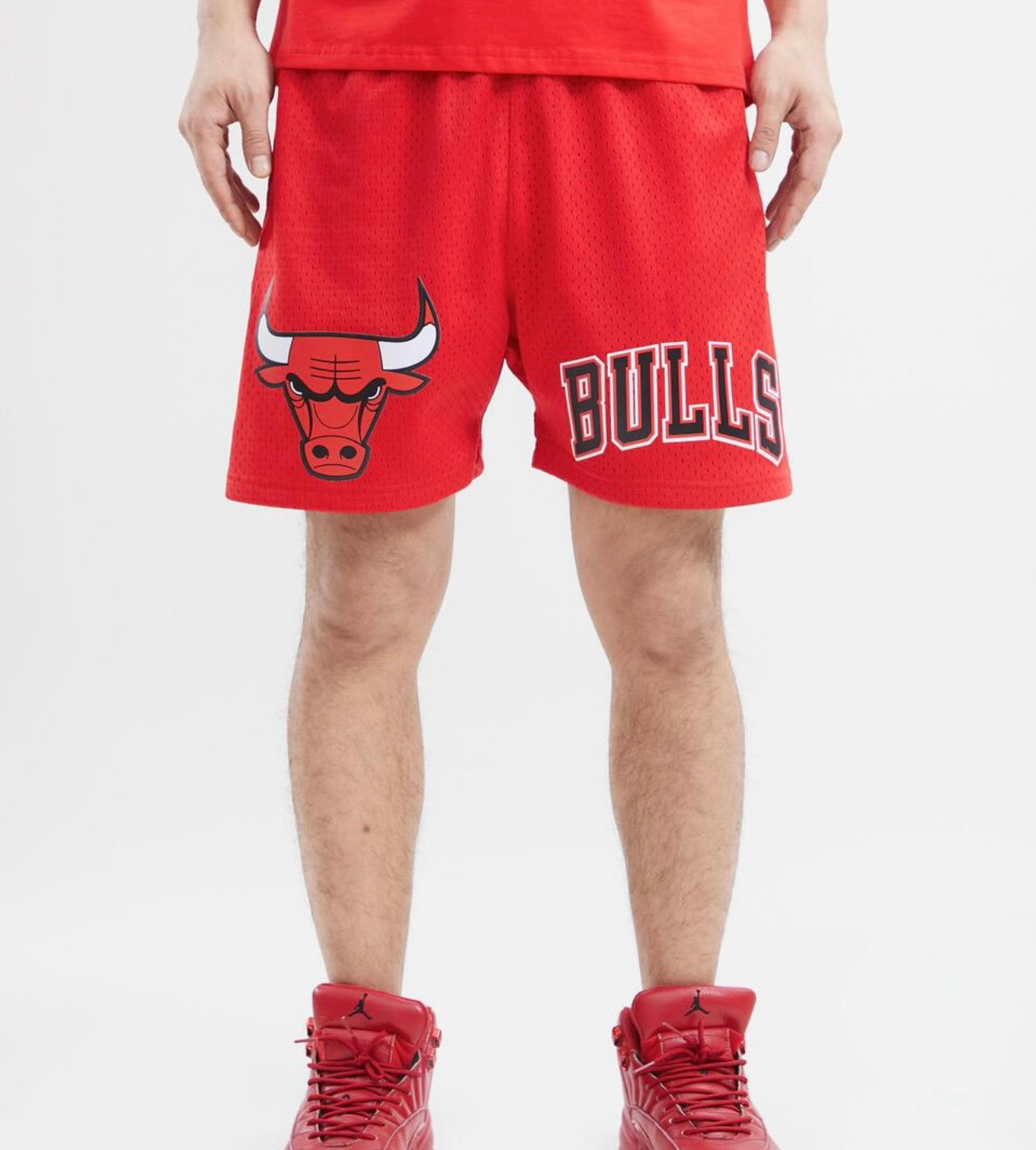 Chicago Bulls Mesh Shorts - Black