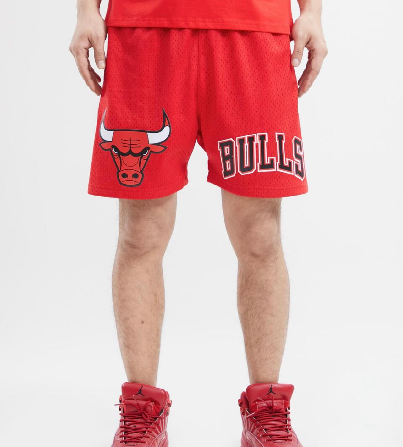 Pro Standard Chicago Bulls Red Mesh Shorts U