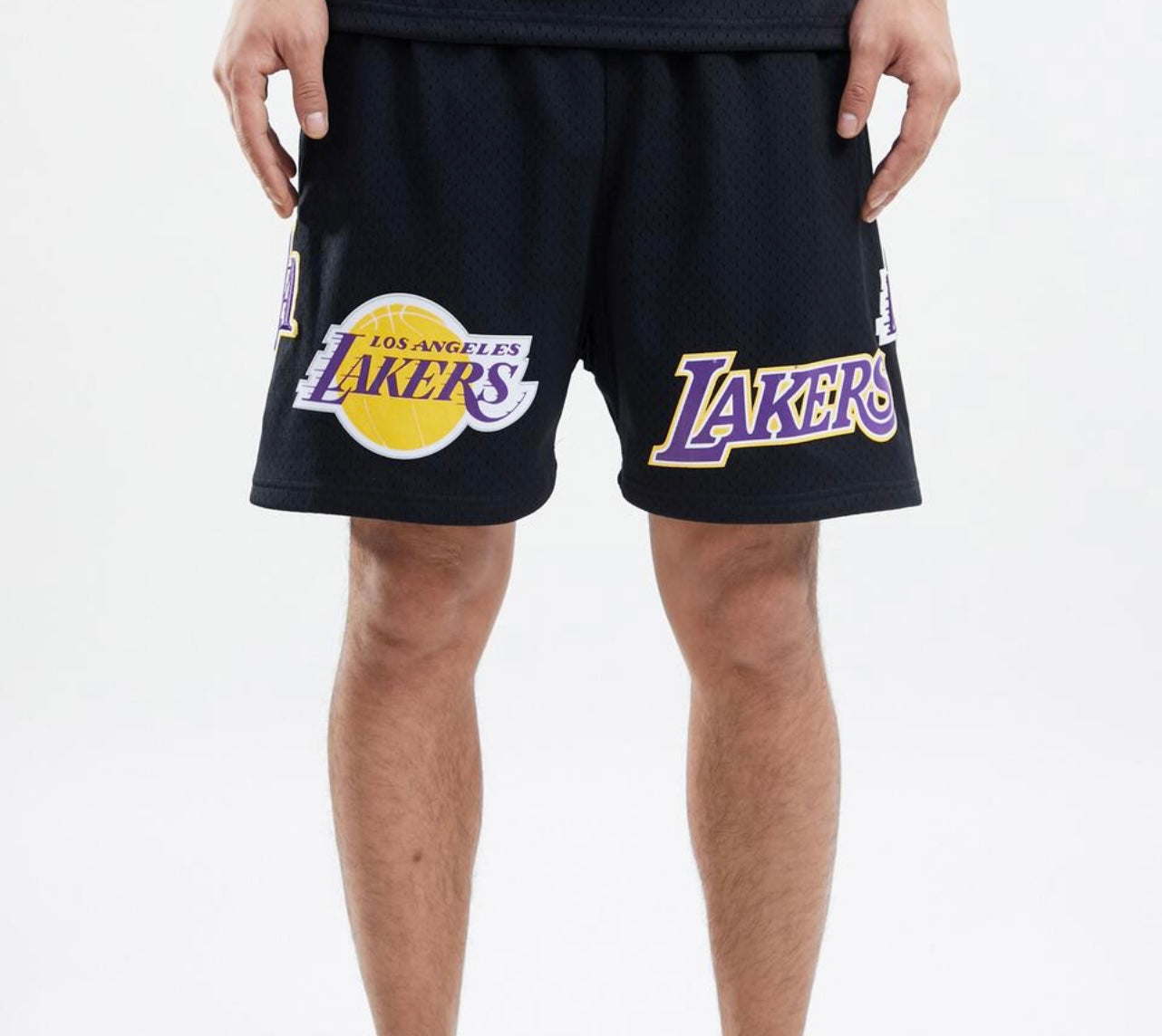 Pro Standard Los Angeles Lakers Black Mesh Shorts U