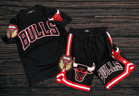 Pro Standard  Chicago Bulls Championship Set